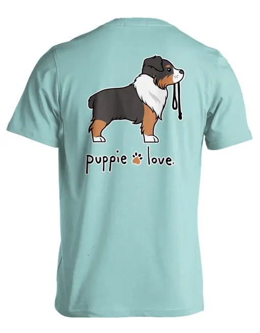 Australian Shepherd Pup (Tri Color) 1