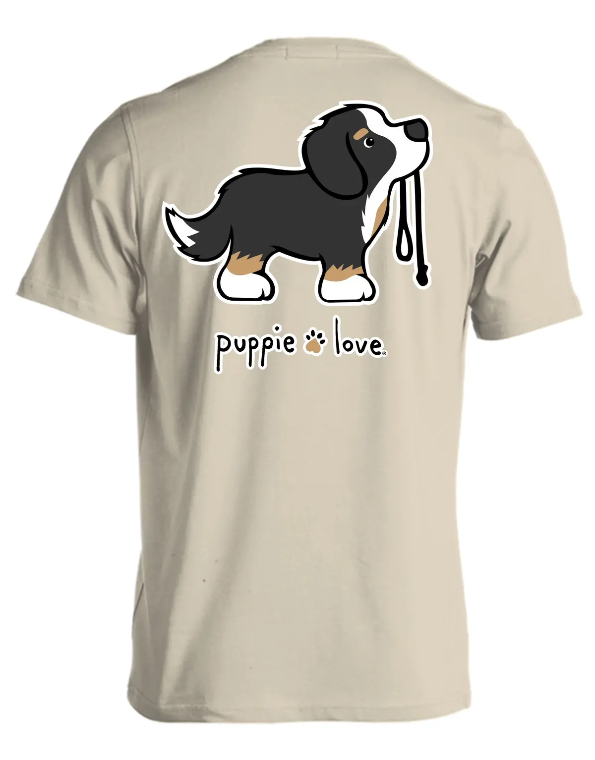 Bernese Mountain Dog Pup 1