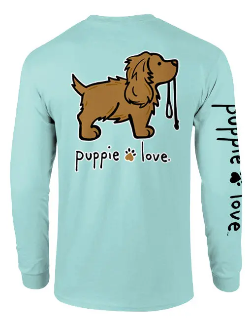 Boykin Spaniel Pup, Adult Ls 1