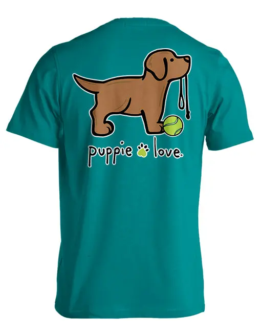 Chocolate Lab Pup 1