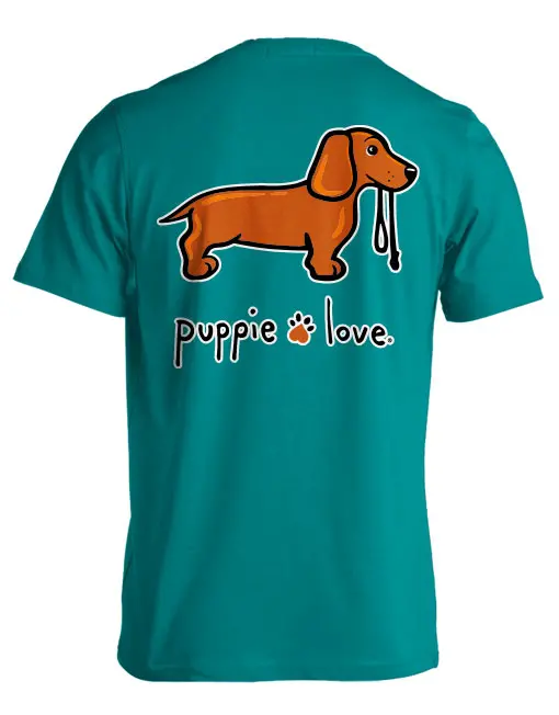 Dachshund Pup, Short Hair 1