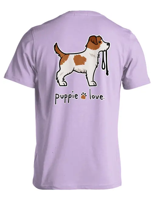Jack Russell Terrier Pup (Rough Coat) 1