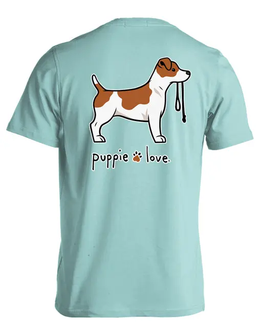 Jack Russell Terrier Pup (Smooth Coat) 1