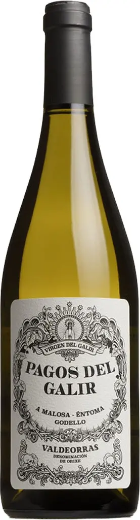 Pagos Del Galir Valdeorras Godello 2021 750Ml 1
