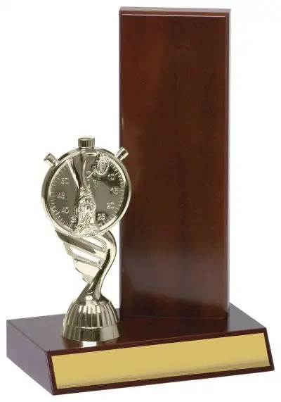 Rectangle Backstand Off Center Timber Trophy 1