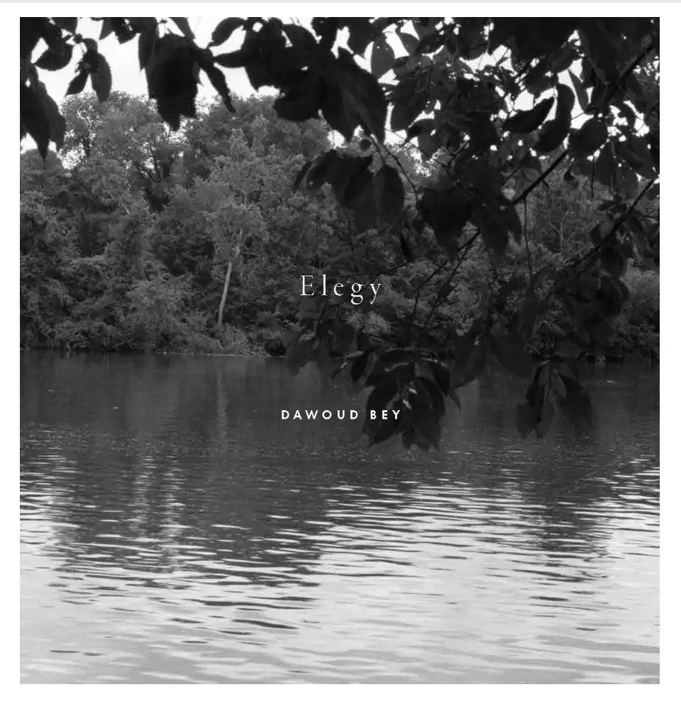 Dawoud Bey: Elegy 1