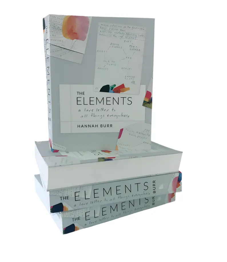 Hannah Burr Studio Books 1