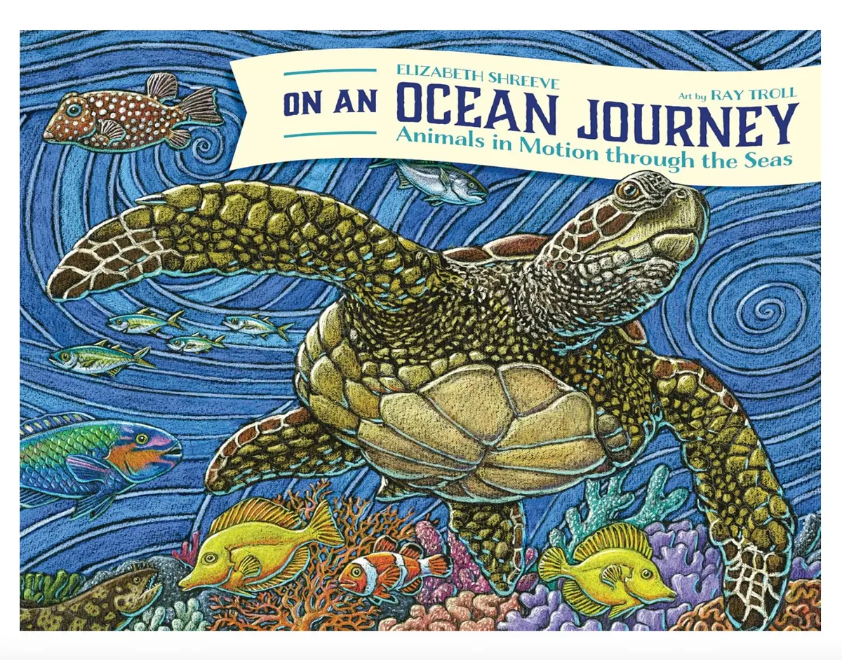 On An Ocean Journey: Animals In Motion Through The Seas 1