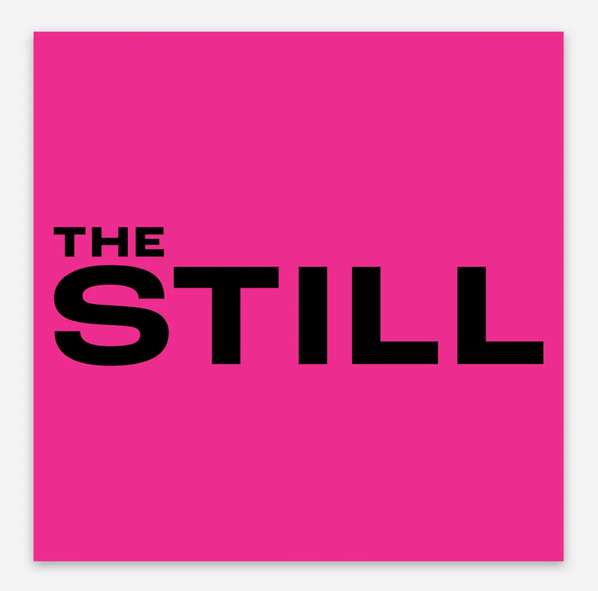 The Still Pink Magnet 1