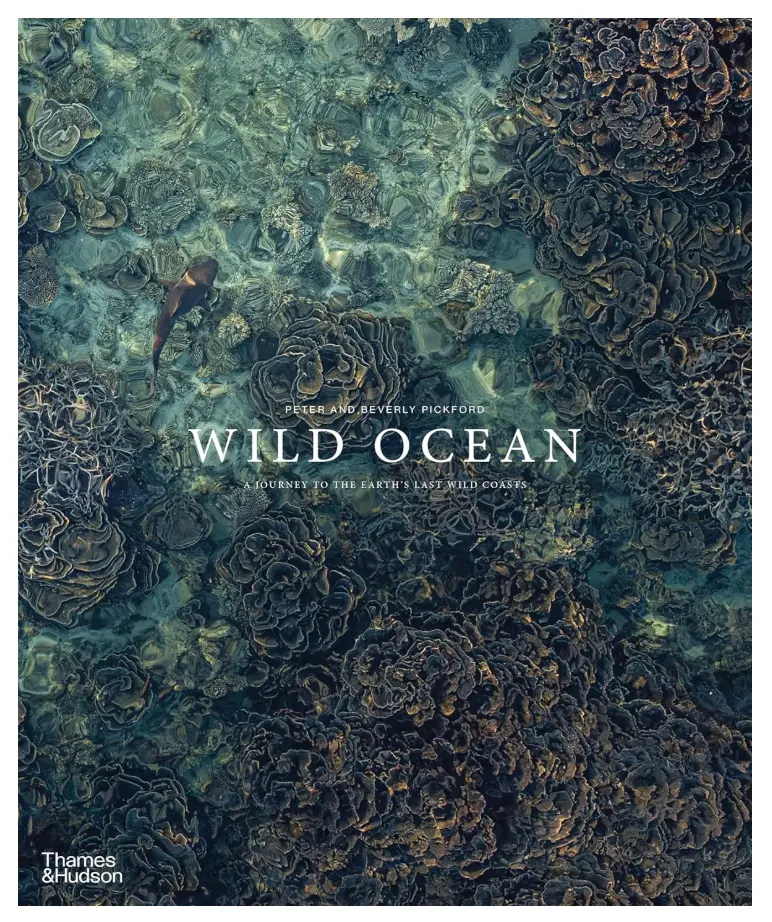 Wild Ocean: A Journey To The Earth's Last Wild Coasts 1