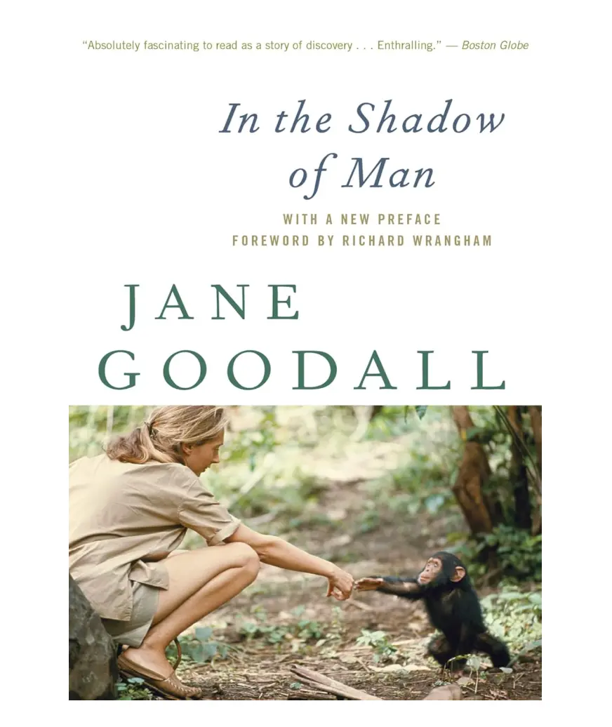 In The Shadow Of Man 1
