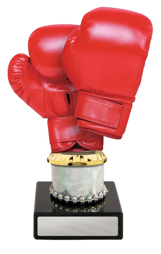 Boxing Glove (Acrylic) On Tubing And Marble 2