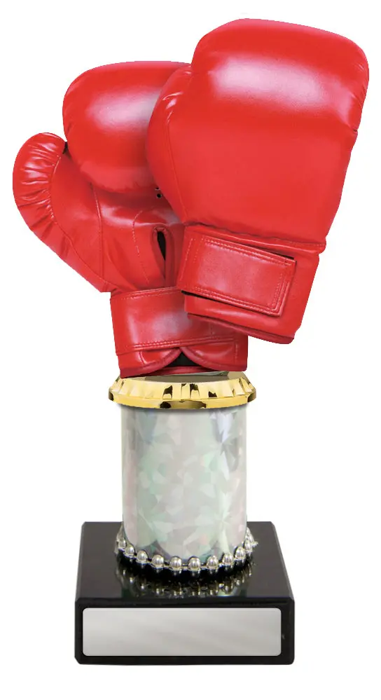 Boxing Glove (Acrylic) On Tubing And Marble 2
