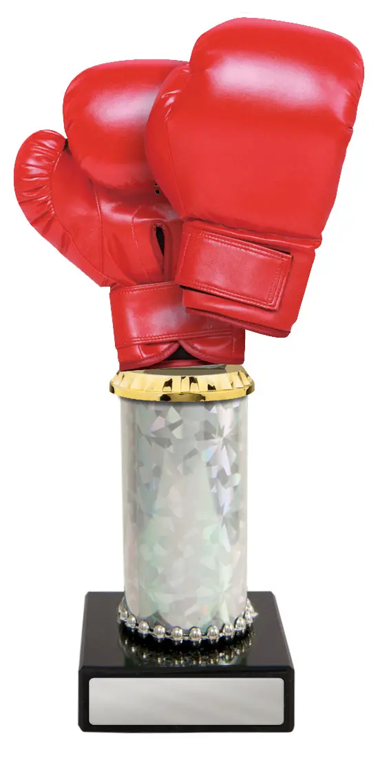 Boxing Glove (Acrylic) On Tubing And Marble 3