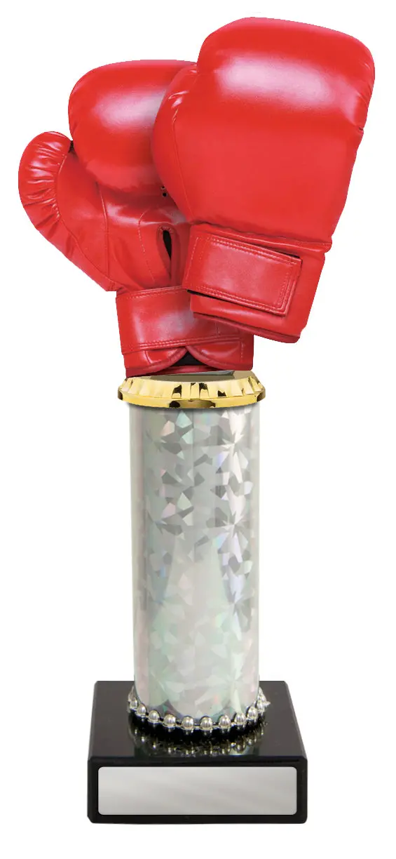 Boxing Glove (Acrylic) On Tubing And Marble 4