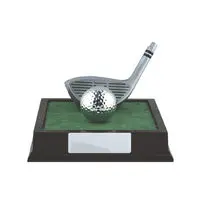 Golf Wood/Ball On Timber Base 1