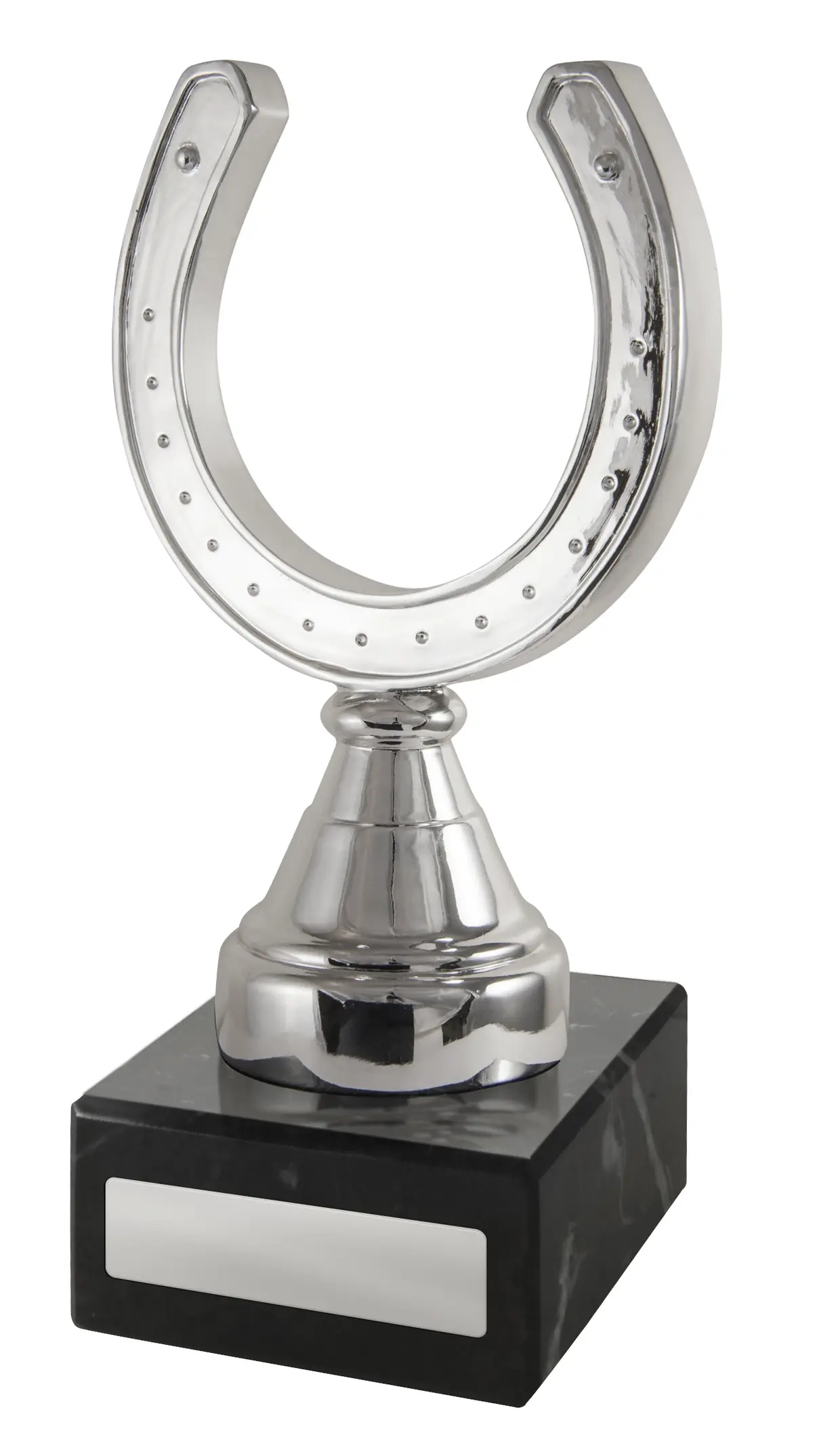 Silver Horseshoe 1
