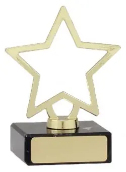 Mini Metal Star 1