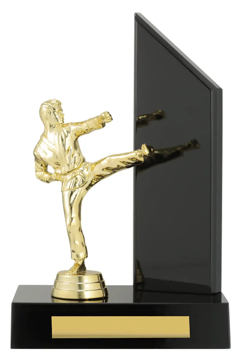 Black Timber Wing - Martial Arts 1