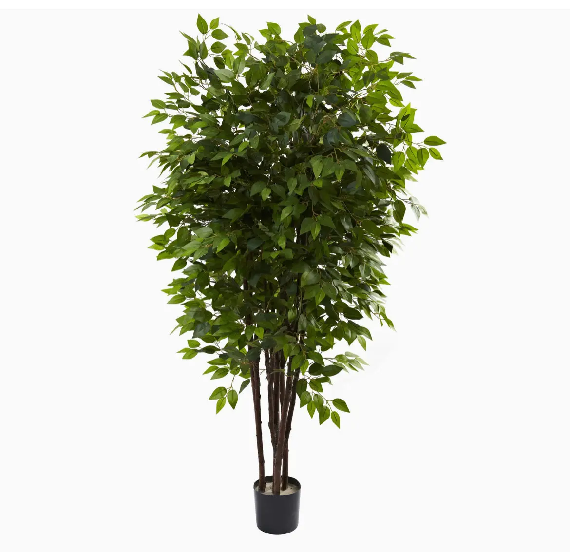 Faux Ficus Tree 1