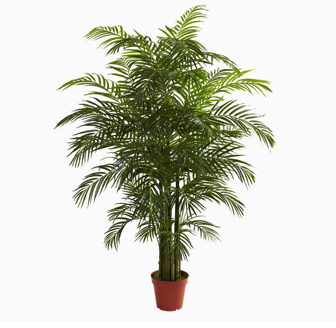 Faux Areca Palm Tree 1