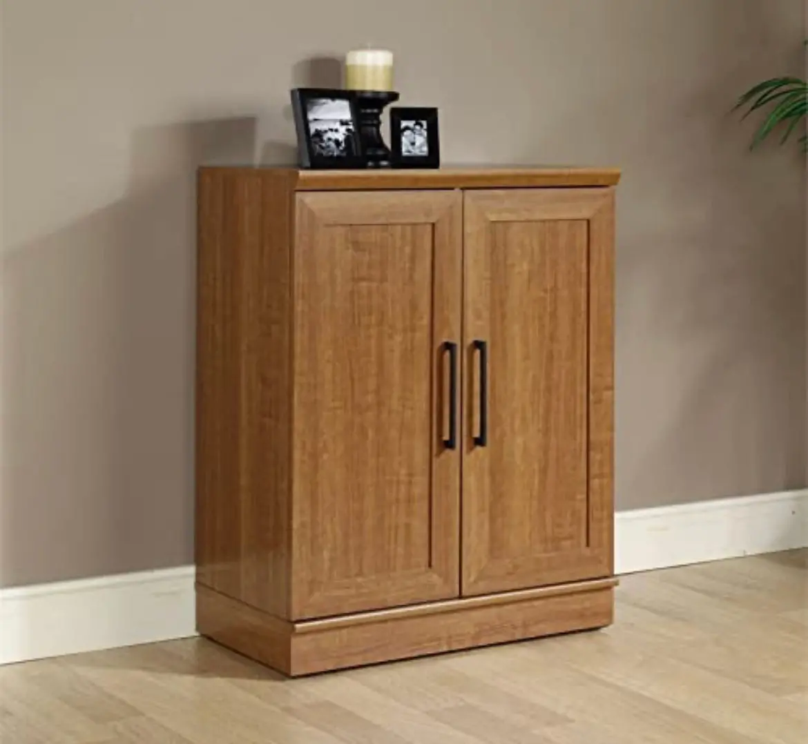 Sauder Homeplus Base Cabinet, Dakota Oak Finish 1