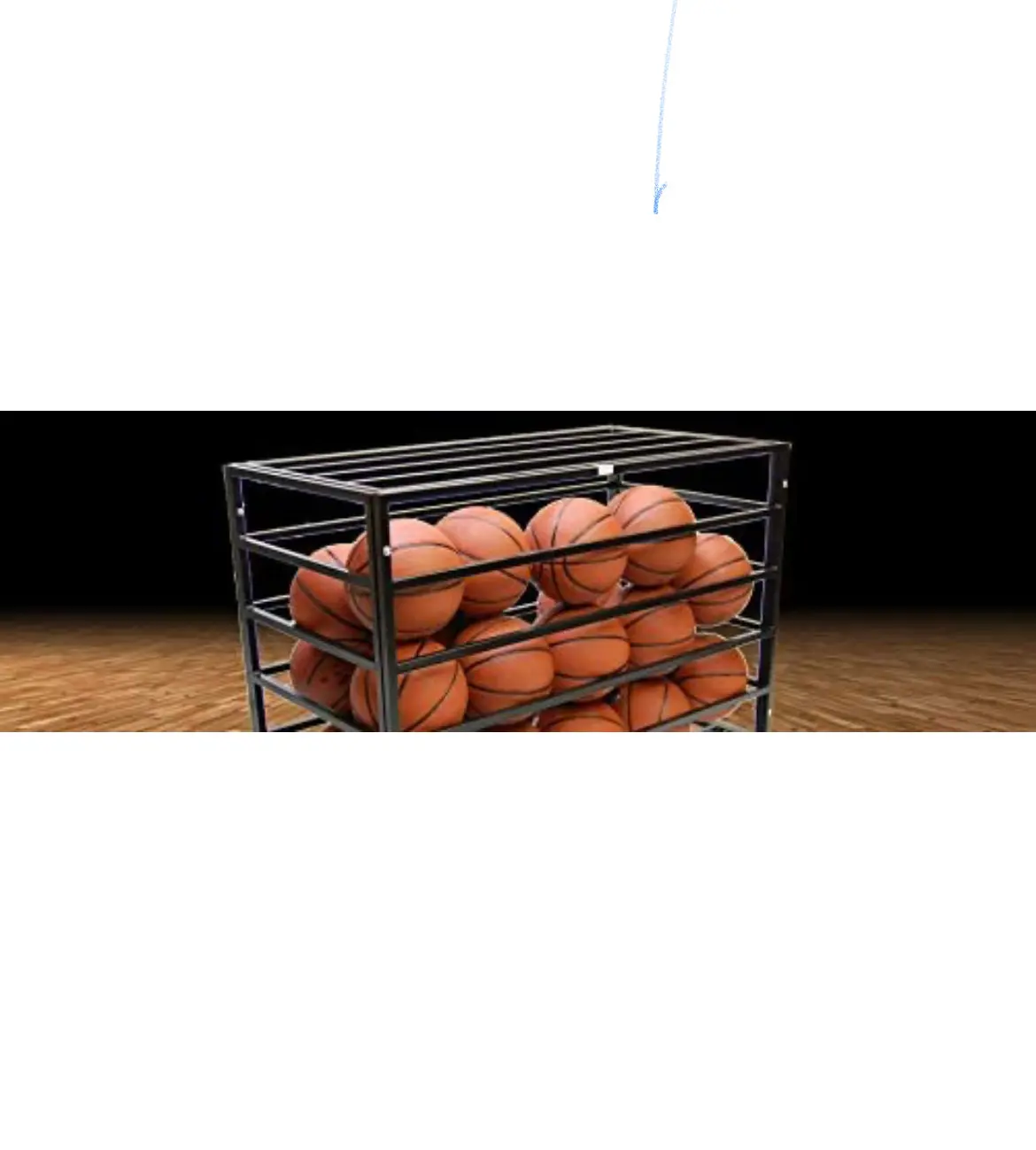 Trigon Sports Hd Secure Ball Locker 1