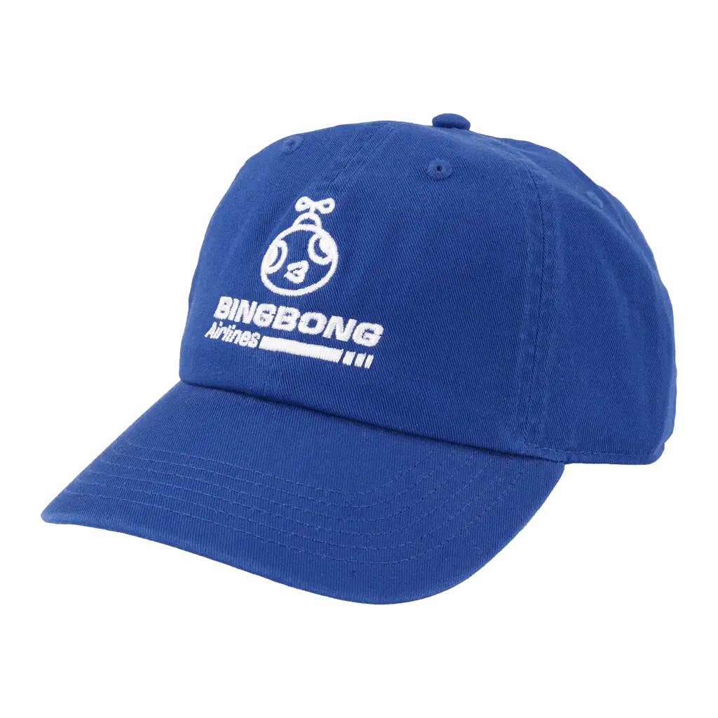Bingbong Airlines Hat 2